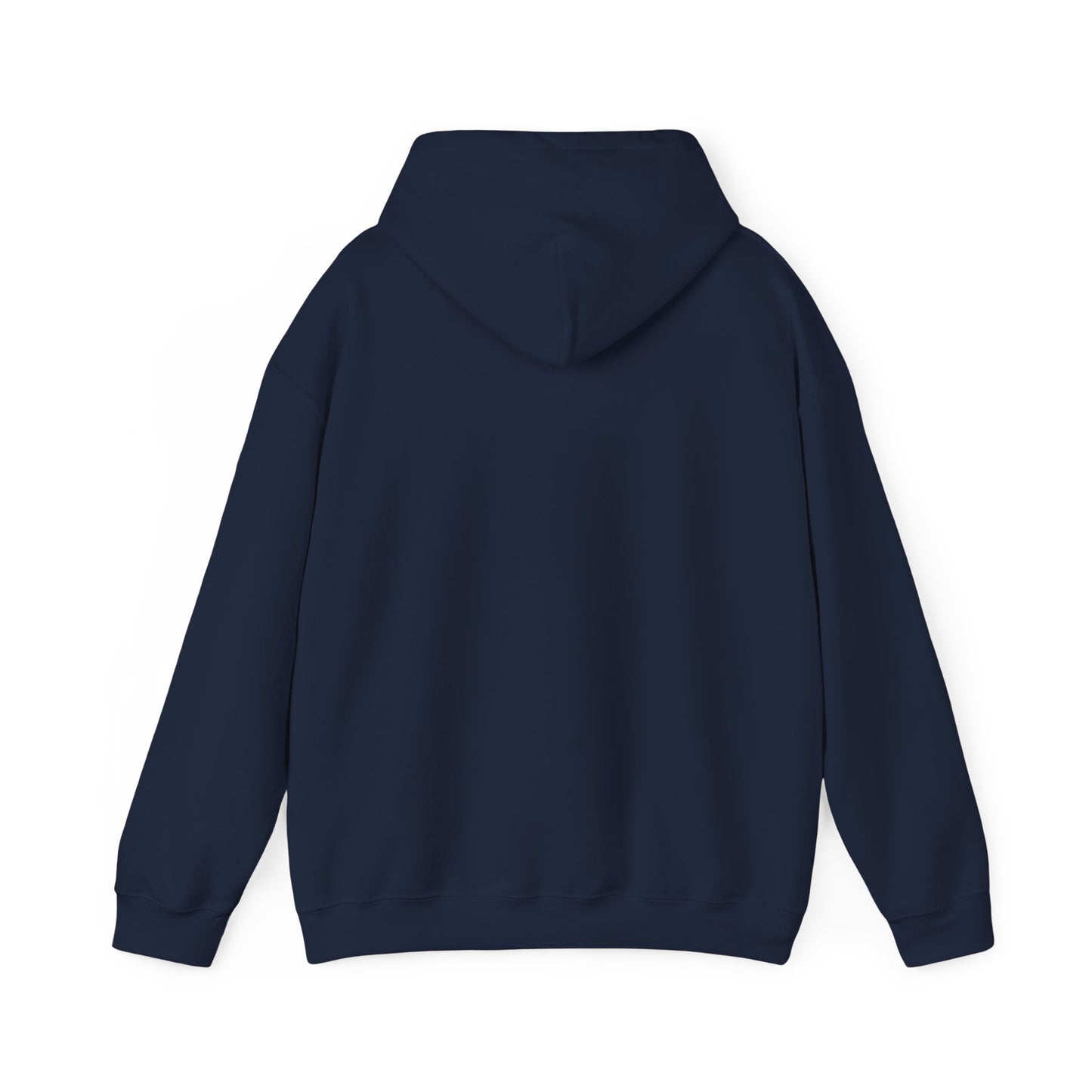 Human Rights Consultant Hooded Sweatshirt (Unisex)