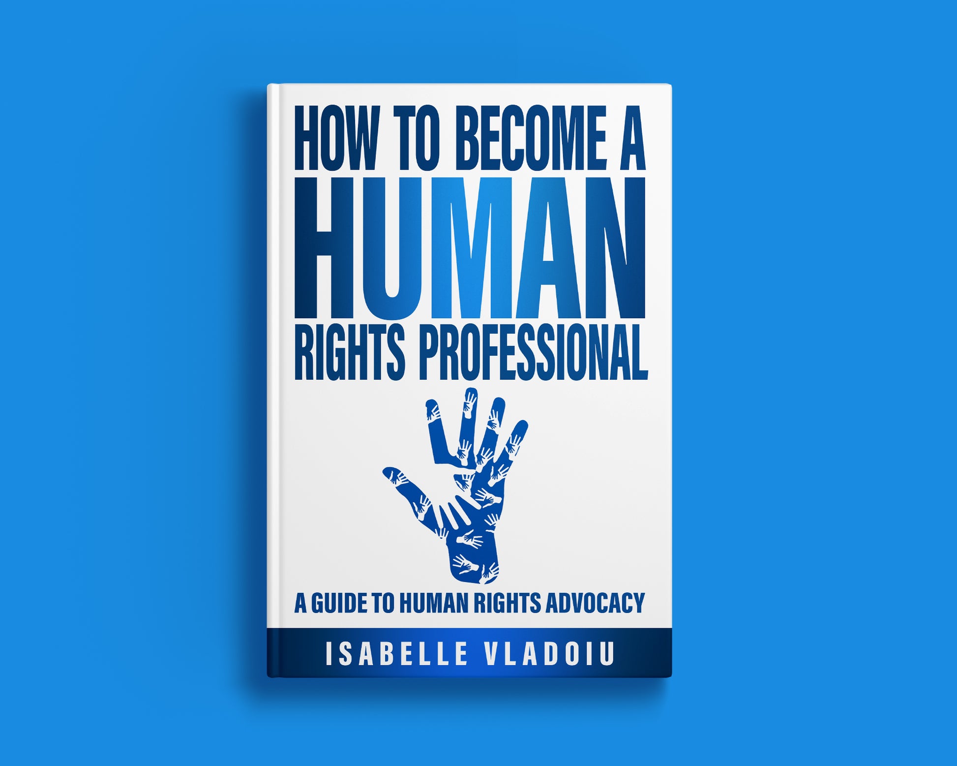 How to Become a Human Rights Professional book by Isabelle Vladoiu ...